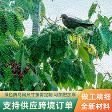 果树防鸟网大棚樱桃葡萄抗老化加粗防鸟农田鱼塘养殖防护网现货