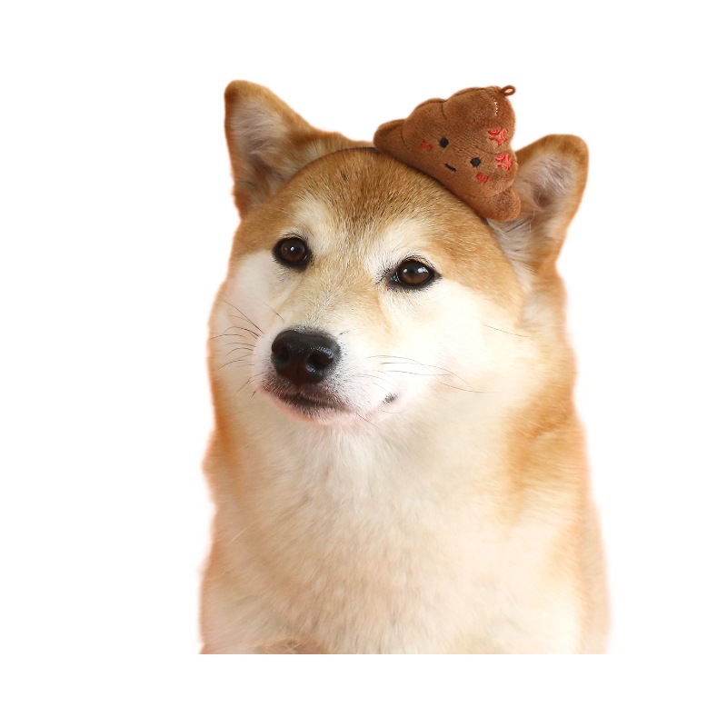 Mascotas extrañas heces inodoro de absorción de peluche para gatos perros comercio exterior cos muñeca de algodón accesorios toque de cabeza image 6
