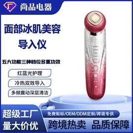 面罩美容仪;电吹风;电子美容仪