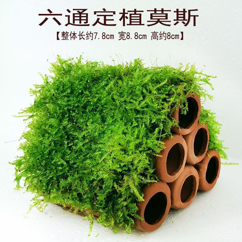 f1b7f07b-dfa4-4308-8292-8918ff211042.jpe