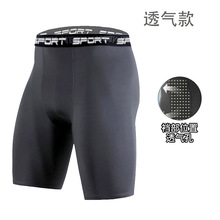 运动健身裤男篮球紧身裤训练跑步短裤 七分裤 长裤透气高弹速干裤