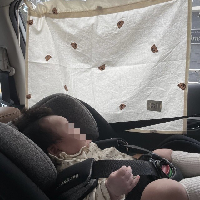 Ins Style Embroider Korean Kidsren's Sun Protection Sunshade Curtain Baby Photo Photography Props Car Car Curtain