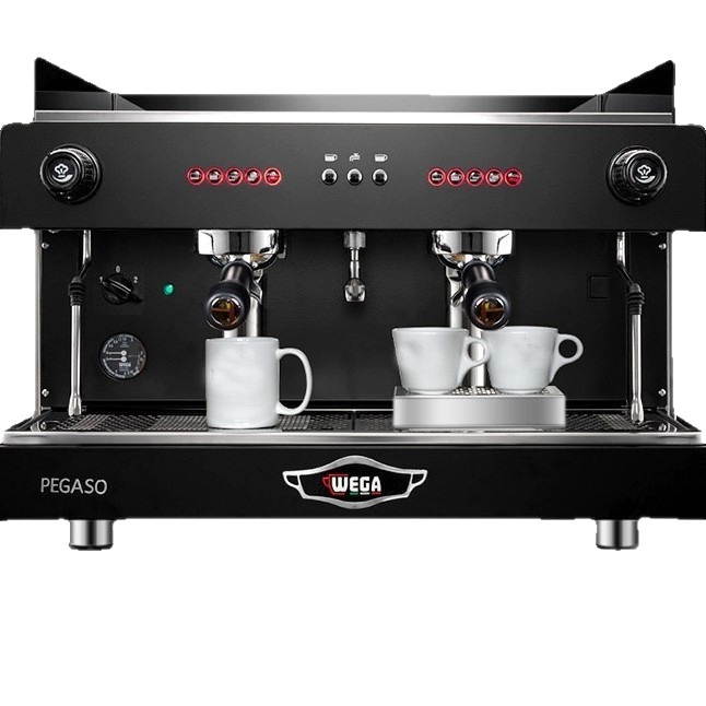 Importado de Italia wega pegaso Picasso máquina de café italiana comercial doble cabezal semiautomático E61