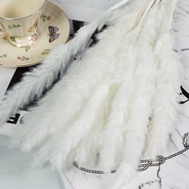 干花;鲜花花艺制品;永生花