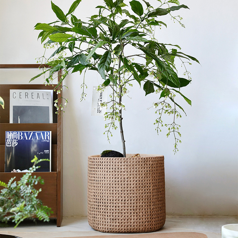 Large Diameter Nordic Retro Woven Basket Cement Concrete Courtyard Balcony Living Room Floor Large Flower Pot with Tray