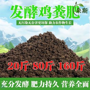 �N���õļ��u�S�ЙC�ʸ�����S�����ţ�S�l�̈́������߲�����ͨ��