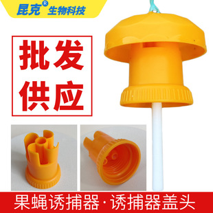 ��ω�T�����w�^�Ϲ���ωᘷ䲶׽�����Tș����ω�����w�x�������l