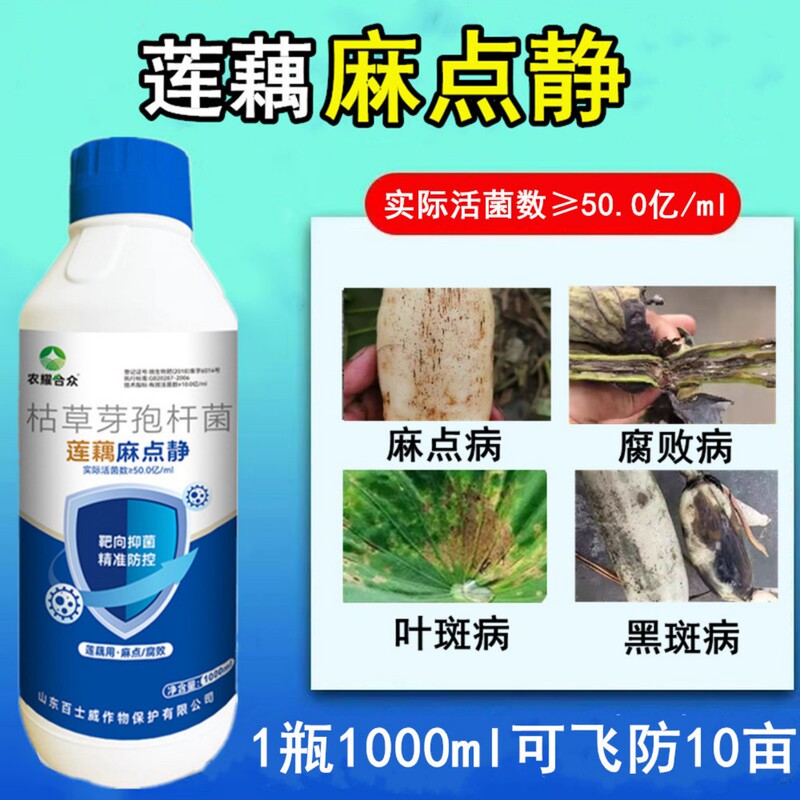 Special Medicine for Lotus Roots, Brown Spot Rot and Pitted Disease of Lotus Roots, Lotus Pond Vitality Peptide, Lotus Field Disinfection and Bactericide Special Medicine for Lotus Roots, Brown Spot Rot and Pitted Disease of Lotus Roots, Lotus Pond Vitality Peptide, Lotus Field Disinfection and Bactericide