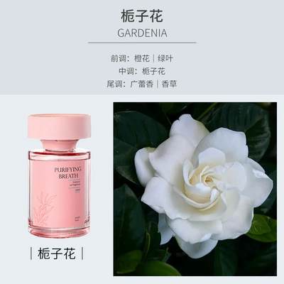 Light Fragrance Special Car Odor – Car Perfume Aromatherapy - girly-pink-gardenia
