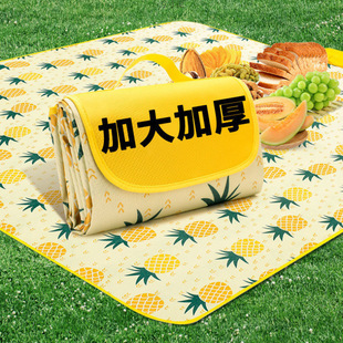 Picnic Mat Moisture-Proof Mat Thickened Outdoor Camping Picnic Equipment Waterproof Portable Spring Outing Foldable Picnic Stove Cover
