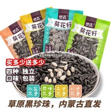 黑珍珠-小瓜子独立小包装油葵葵花籽零食炒货批发5包葵花子其他】