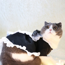貓咪衣服女仆裝狗狗寵物衣服發帶純棉可愛生日寫真禮服黑白色洋裝