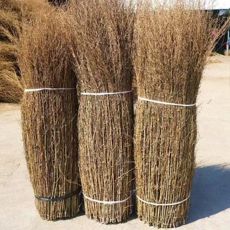 Забор, забор, павильон, открытый двор, бамбуковый дом, украшение ветвей, крыша B&B, тонкий бамбуковый шелковый забор, бамбуковый забор