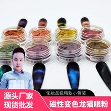 美甲猫眼粉3D超强导磁变色龙指甲油绘画手工磁性变色龙云母粉批发