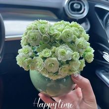 �G�����L�ۻ��������_������ֲ����˺��B�k�����̨�Gֲ��������