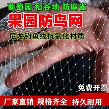 防鸟天网樱桃树葡萄网果园果树樱桃园鱼塘农田网西瓜草莓防护天网