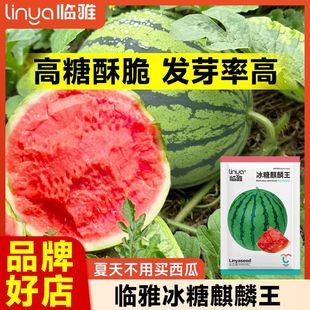 �R�������������ϷN�ӟo���ش�߮a���������Ϸ��ļ��߲�ˮ���N��