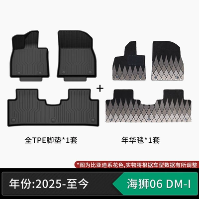 Modelə uyğun ayaqaltı, Suitable for BYD, TPE - 25-present-byd-seastar-06-dm-i-tpe-floor-mats-starry-sky-velvet-blanket-please-specify-vehicle-year-when-ordering
