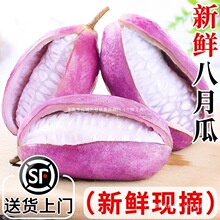 八月瓜新鲜水果八月炸5斤装当季现摘香瓜应季麻藤包甜瓜8顺丰包邮