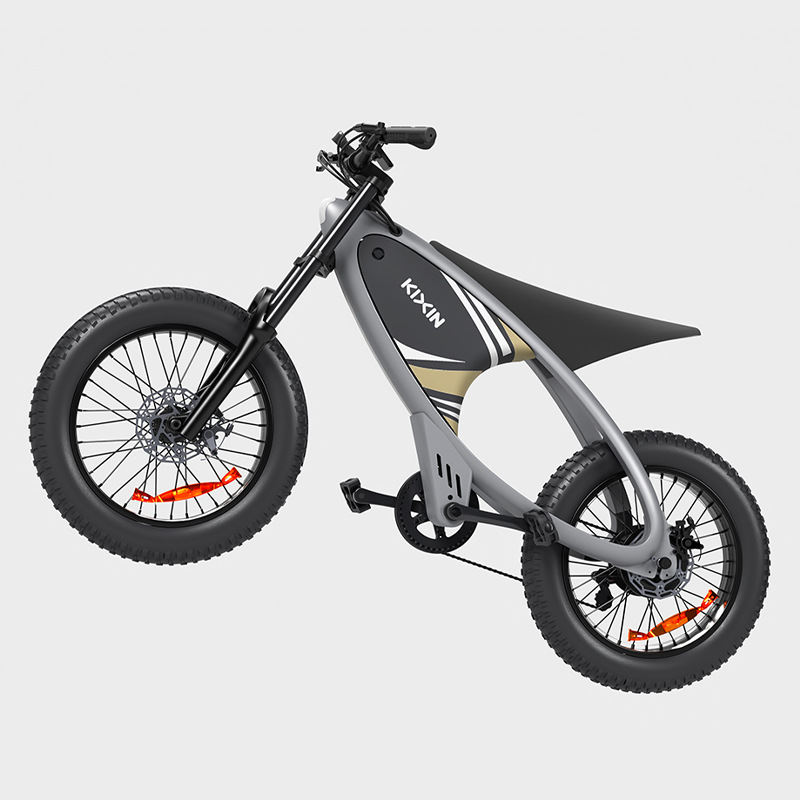 Nueva bicicleta eléctrica HX motocicleta todoterreno Q6 batería de litio vehículo eléctrico de larga duración