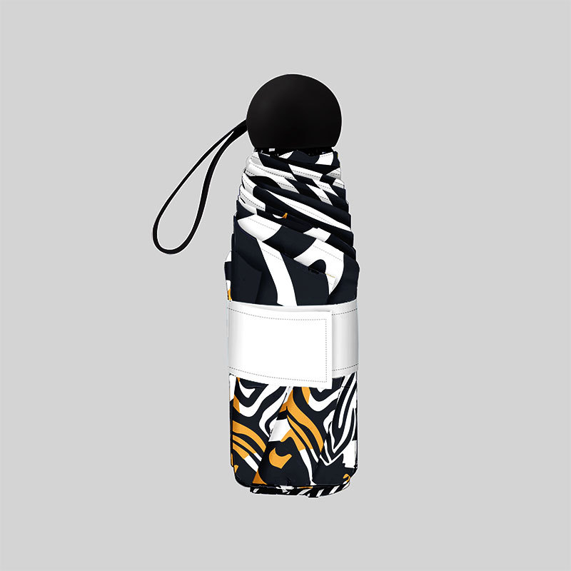 ɡڽɹֵŮѧڴɡЯ߼зɹ