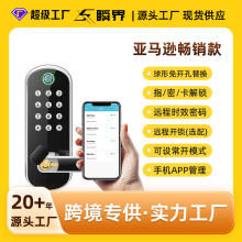 室内门锁替换球形密码刷卡锁单舌木门涂鸦WiFi指纹锁远程开锁