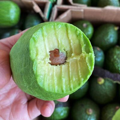 墨西哥进口牛油果鳄梨新鲜水果宝宝辅食水果批发