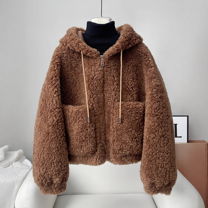 Particle Imitation Lamb Wool Outwear Women's Short Hooded 2025 New Plush Outwear Sweatshirt Fur Winter