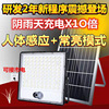 Mains complementary Solar Lights indoor Courtyard household Dual use Countryside Cast light Cross border Foreign trade