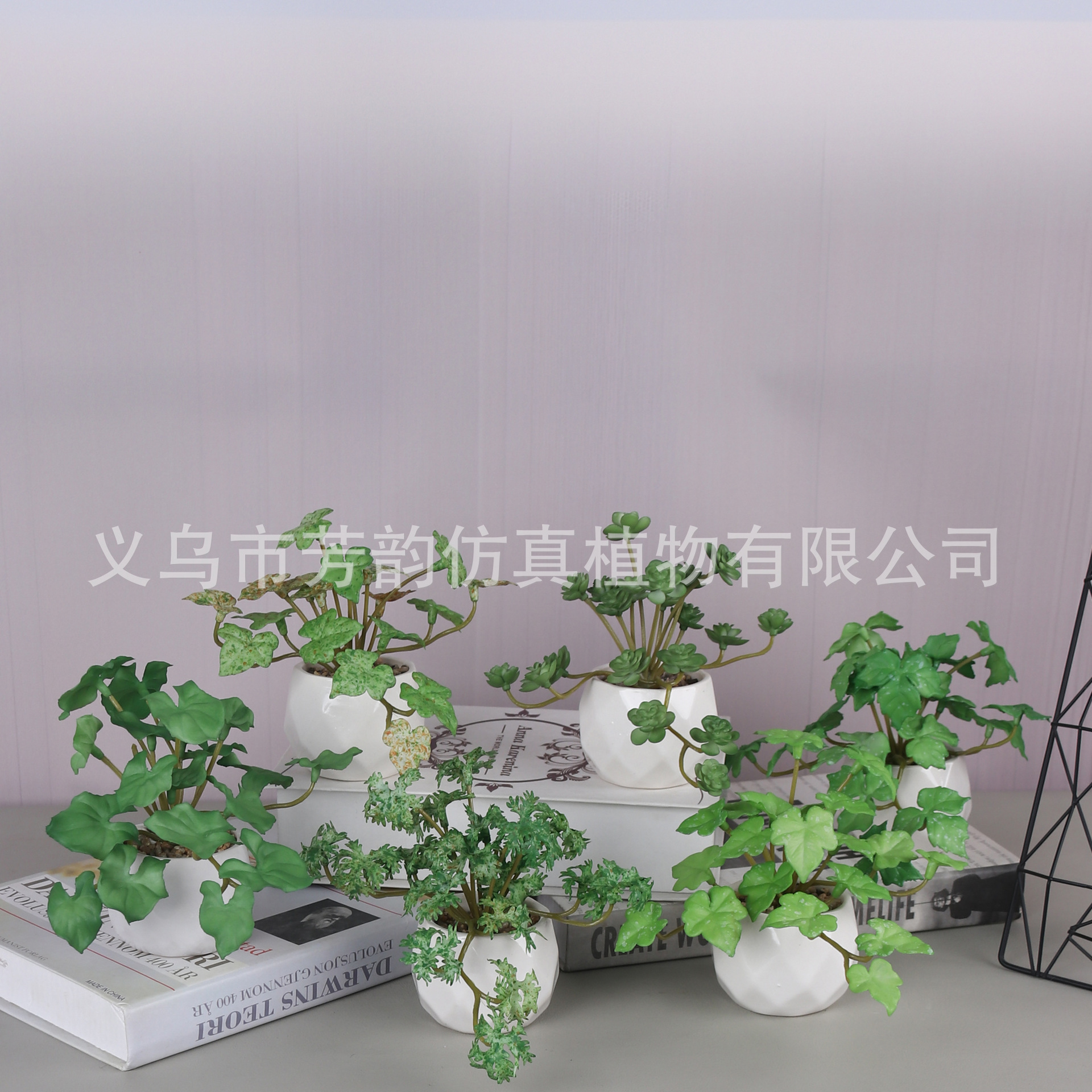 Spot flor falsa árbol de hierro cerámica bonsai Amazon decoración para el hogar escritorio maceta pequeña decoración fabricante de comercio exterior