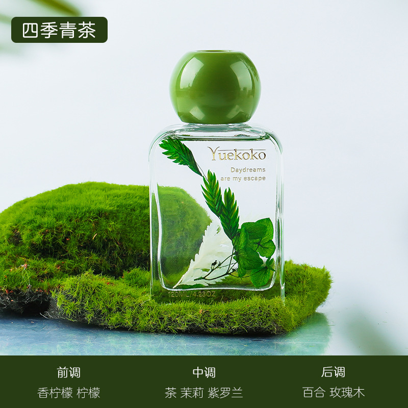 시유 아로마테라피 120ml-포시즌스티