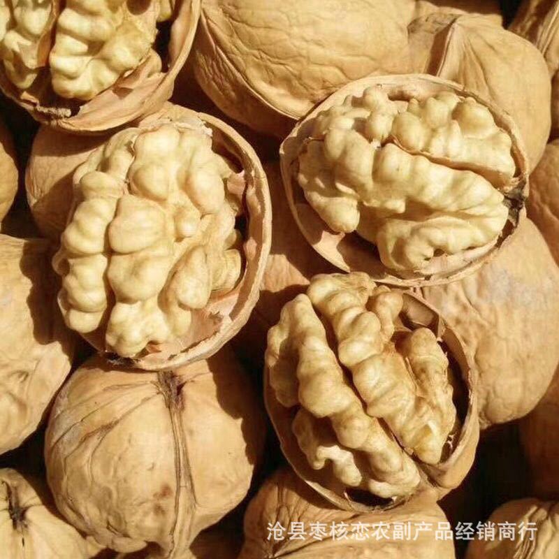 2345_image_file_copy_5