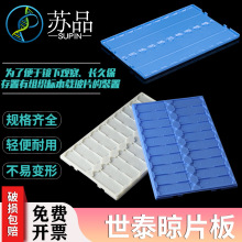 CITOGLAS世泰20片装载玻片晾片板 无盖带隔断 晾片板存颜色随机