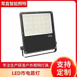 太阳能灯;路灯;庭院灯