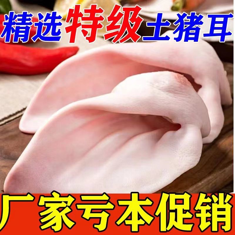 新鲜猪耳朵农家散养现杀土猪5斤猪耳片新鲜冷冻生猪肉带根猪卤菜