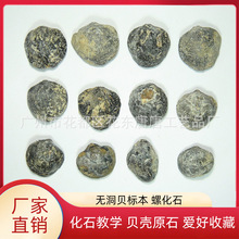 ��Ȼ�o��ؐ��ʯ ؐ���ݘ˱� �����￼�Ŕ[���ղضYƷԭʯ�˱��̌W