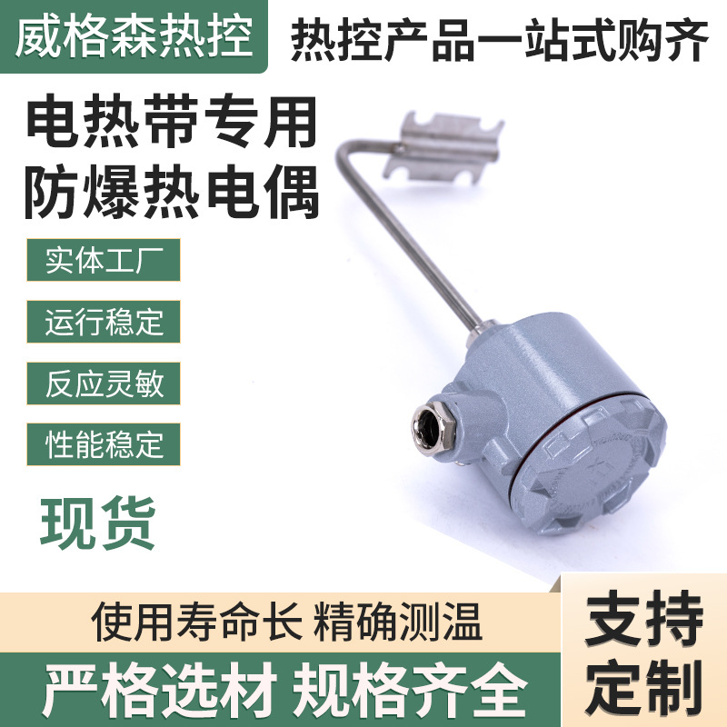 电伴热带专用防爆PT100铂热电阻管壁式热电阻L型传感器热电偶