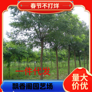 һ�����l����������������С�绱���紹����צ���㻨������