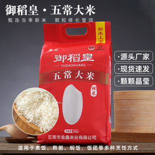 �������峣�������l�|������һ�����l���]����bʮ���b�L�������l