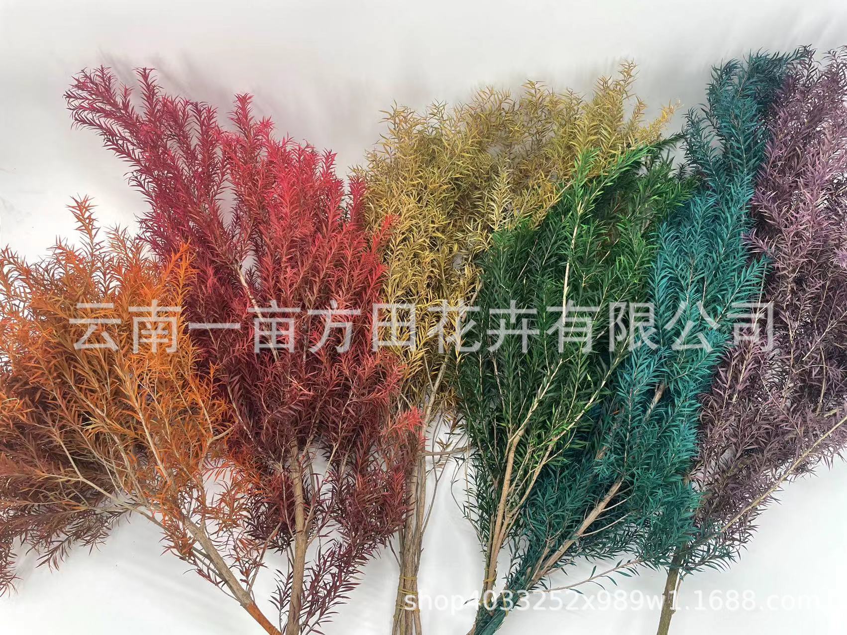 ab187d0ecd3603b6e6946d5a139669