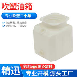HDPE塑料油箱水箱 中空吹塑 厂家出售 吹塑液体储存罐