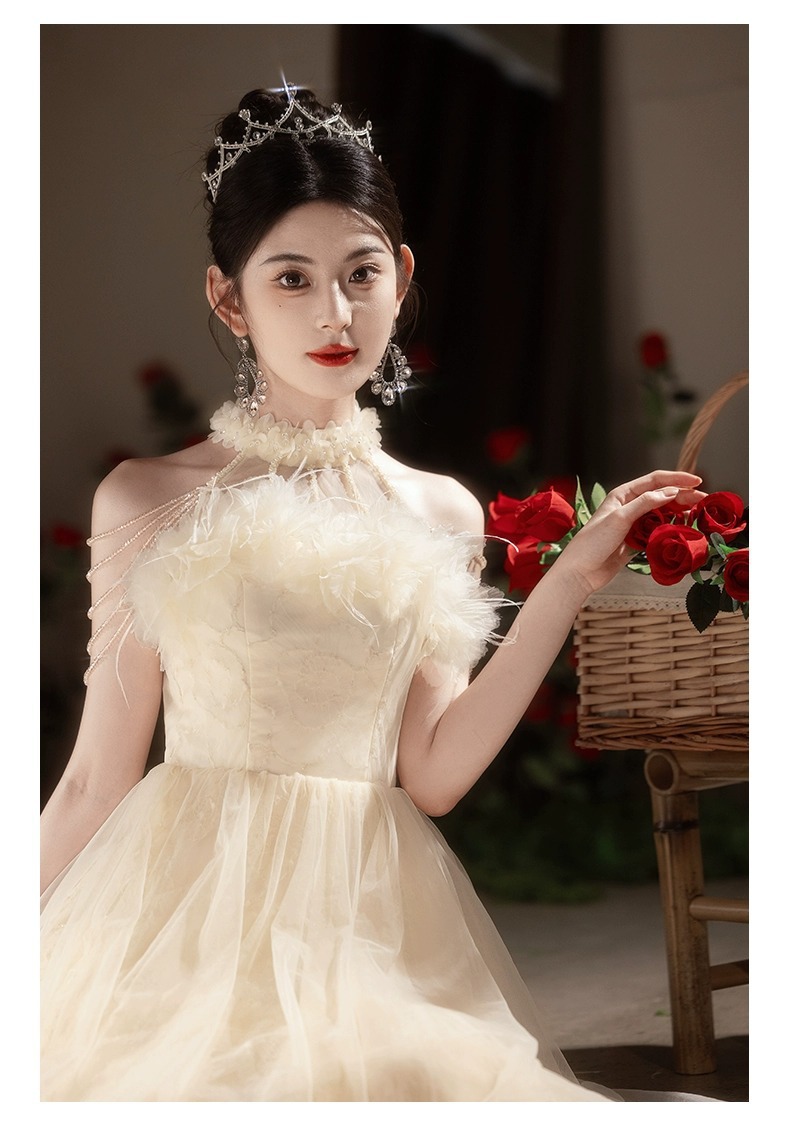 Elegant Champagne Colored Evening Gown New Style Long Dress For Women Suitable For Engagement Understated Luxury Ethereal Beauty_ecoleips.com