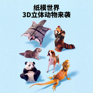 �ƴ�����ͯ3D���w�ۼ���Ȥζ���（ģ˼�SӖ���ֹ�diy��Ů�׃��@