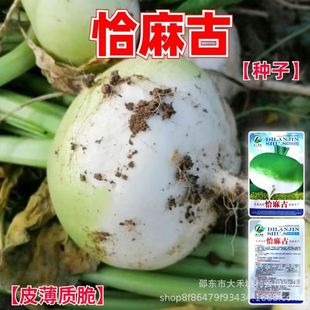 ǡ��ŷN�Ӳ����˷N��ǡ���ňA��ݼ�N��ʏݼ�N�Ӵ����߲˷N��