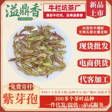 �綦���²贺����ѿ�������Ұ����ѩɽ��ɽ�Ř��ն�������ѿ�߲�