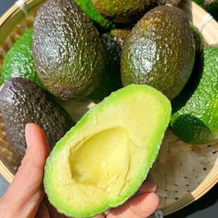 ������χ��a����؛֮�����ڹ�˹��ţ�͹�ţ�͹����rˮ����ɽ�Nֲ