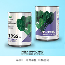 пïA߲˷N19SS˷NӴ~A~Խ400/