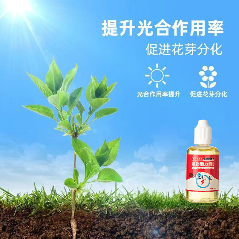 一件代發植物活力素家庭園藝花卉植物通用型持續養分供給促進生長
