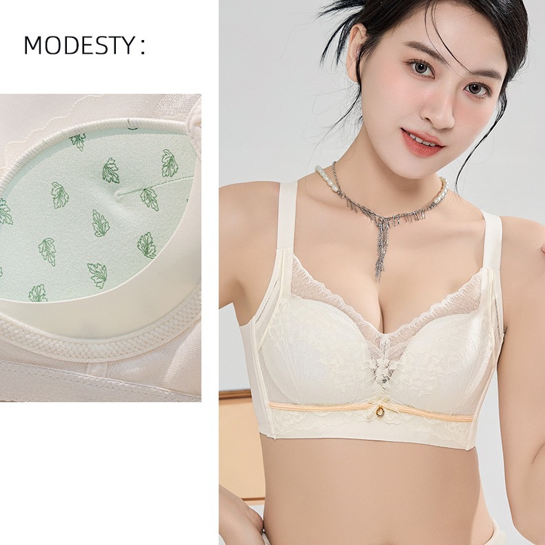 Venta directa de fábrica comercio electrónico transfronterizo Sudeste de Asia Vietnam Tailandia señoras cómodas y transpirables sujetador lateral de encaje