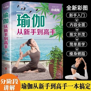 Yoga from Novice to Master, a Complete Collection of Zero-Based Tutorials for Beginners, Yoga and Pilates Tutorial Books